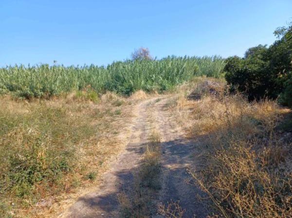  Land in Nicosia