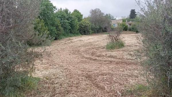  Land in Paphos