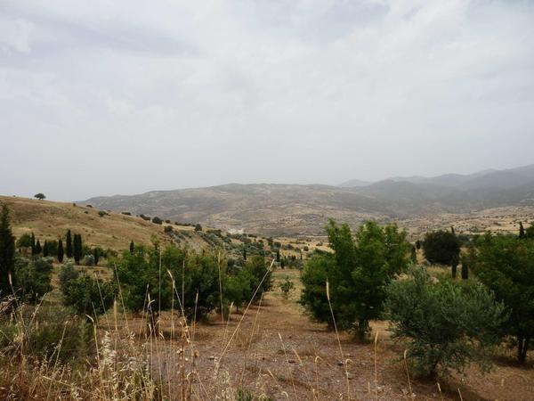  Land in Paphos