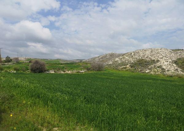  Land in Larnaca