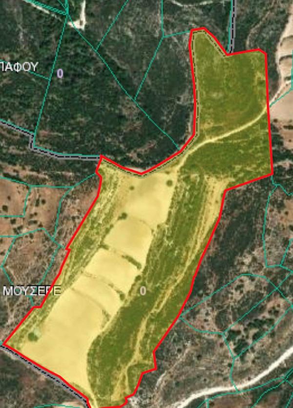  Land in Paphos