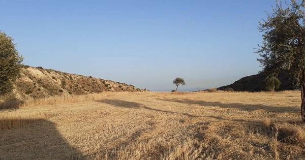  Land in Larnaca