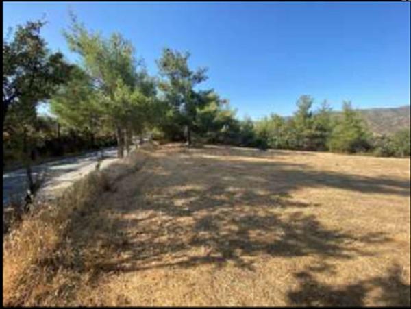  Land in Nicosia