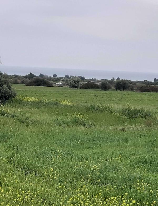  Land in Limassol