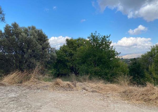  Land in Paphos