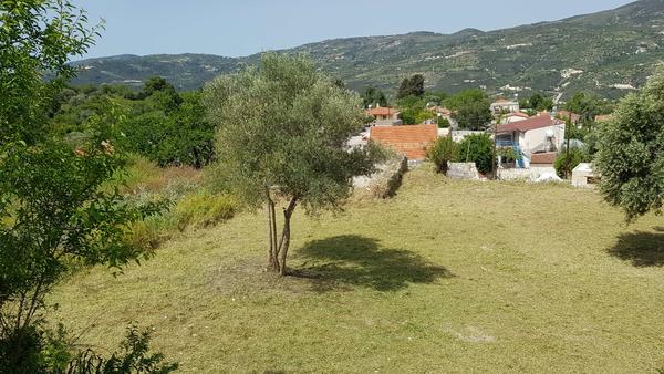  Land in Paphos