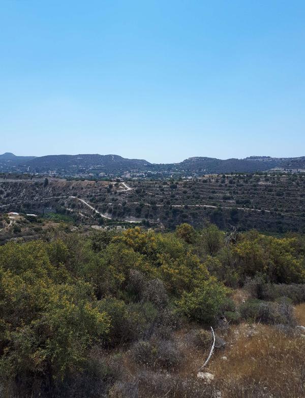  Land in Limassol