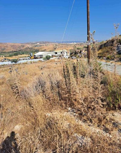  Land in Paphos