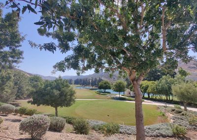  Land in Paphos