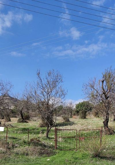  Land in Larnaca