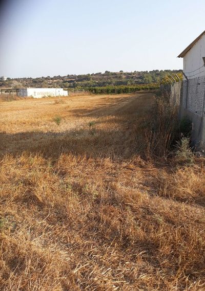  Land in Larnaca