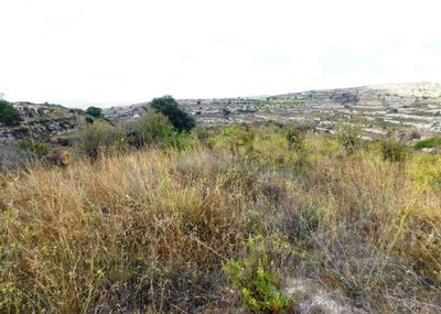  Land in Limassol