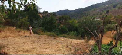  Land in Limassol