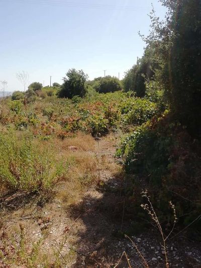  Land in Paphos