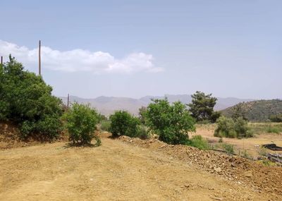  Land in Limassol