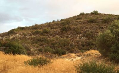  Land in Limassol