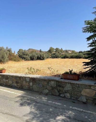  Land in Nicosia