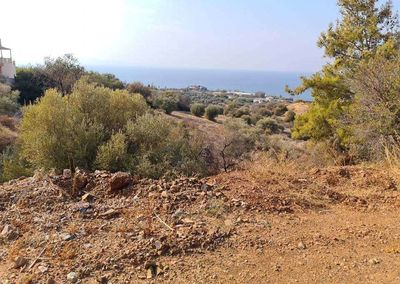  Land in Paphos