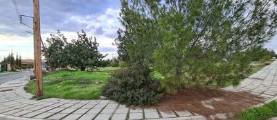  Land in Limassol