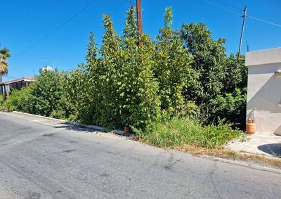  Land in Nicosia