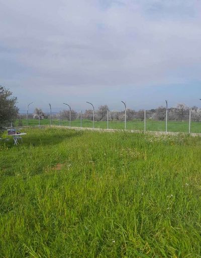  Land in Nicosia
