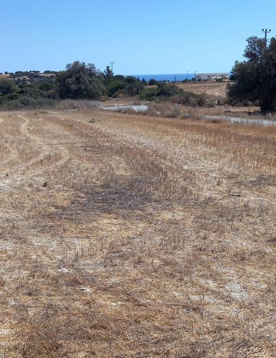  Land in Larnaca