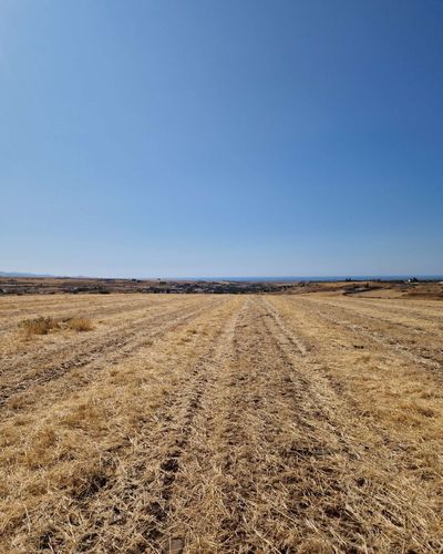  Land in Nicosia