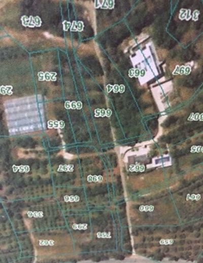  Land in Paphos
