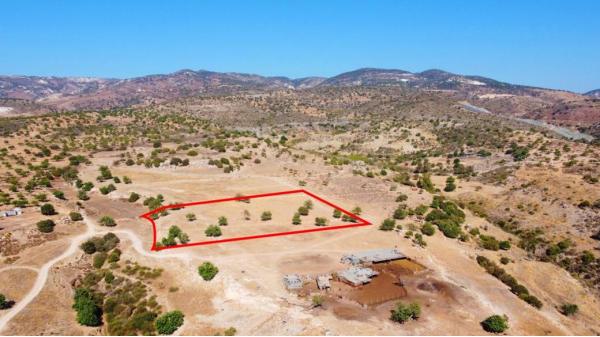  Land in Paphos