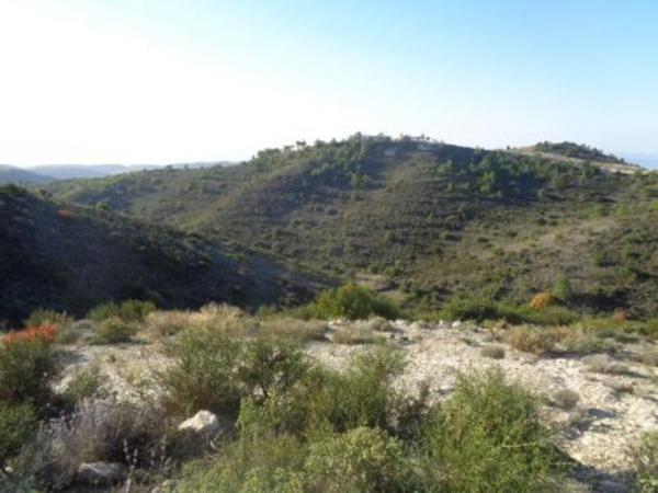  Land in Limassol