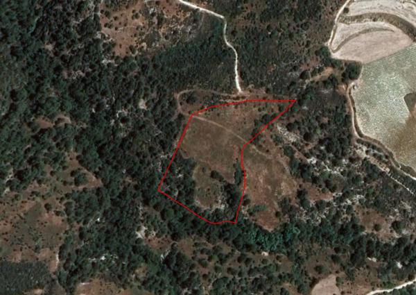  Land in Limassol