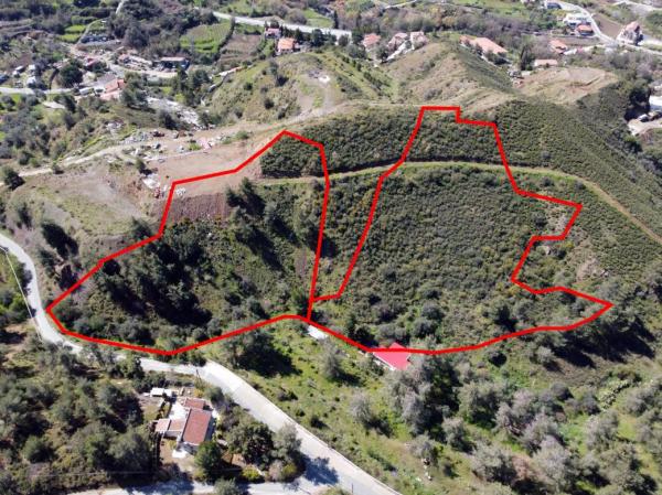  Land in Nicosia