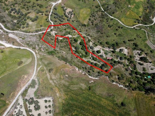  Land in Paphos