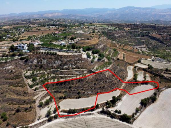  Land in Paphos