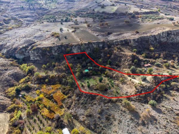  Land in Paphos
