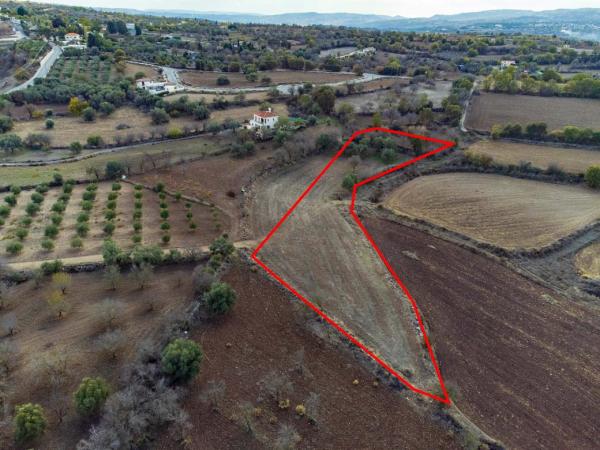  Land in Paphos