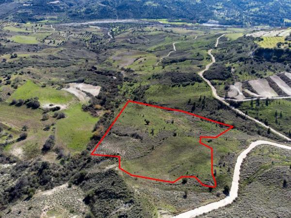  Land in Paphos