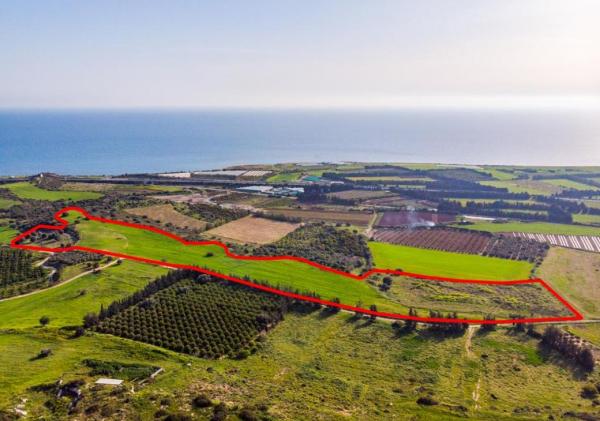  Land in Paphos