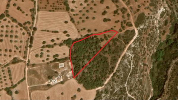  Land in Paphos