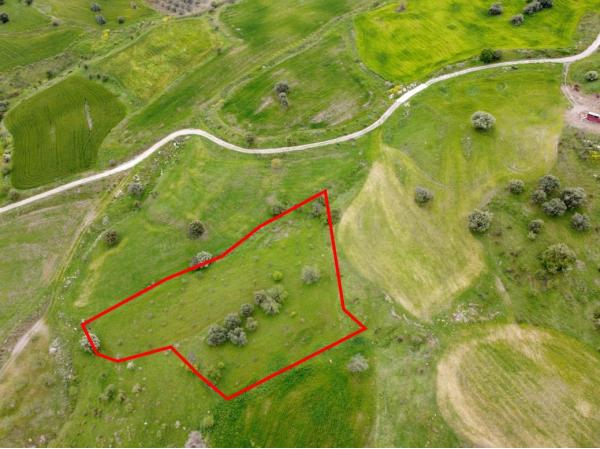  Land in Paphos