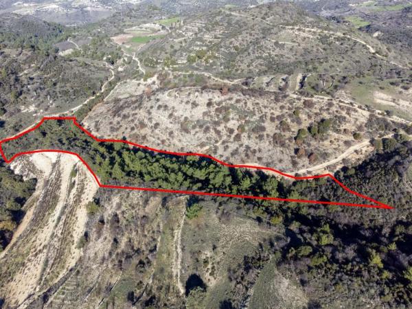  Land in Paphos