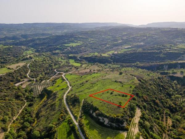  Land in Paphos