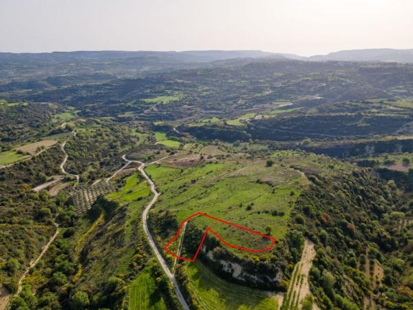  Land in Paphos