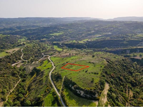  Land in Paphos