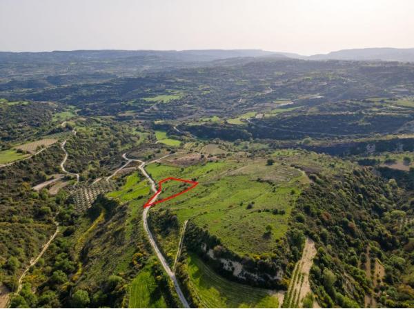  Land in Paphos
