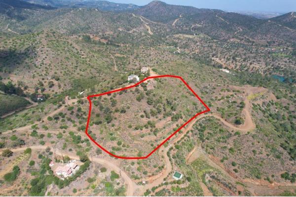  Land in Nicosia