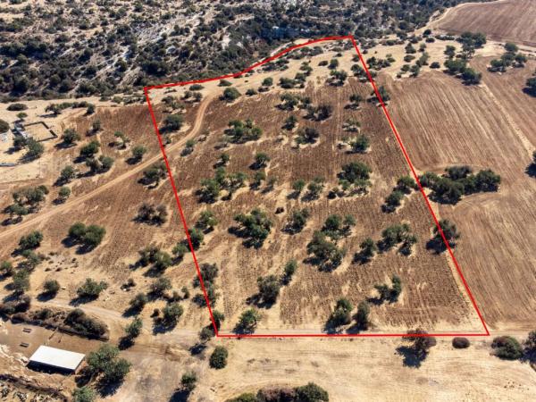  Land in Paphos