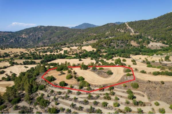  Land in Paphos
