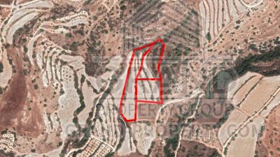  Land in Paphos
