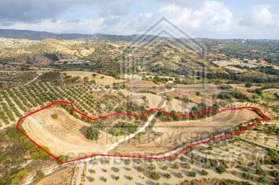  Land in Paphos